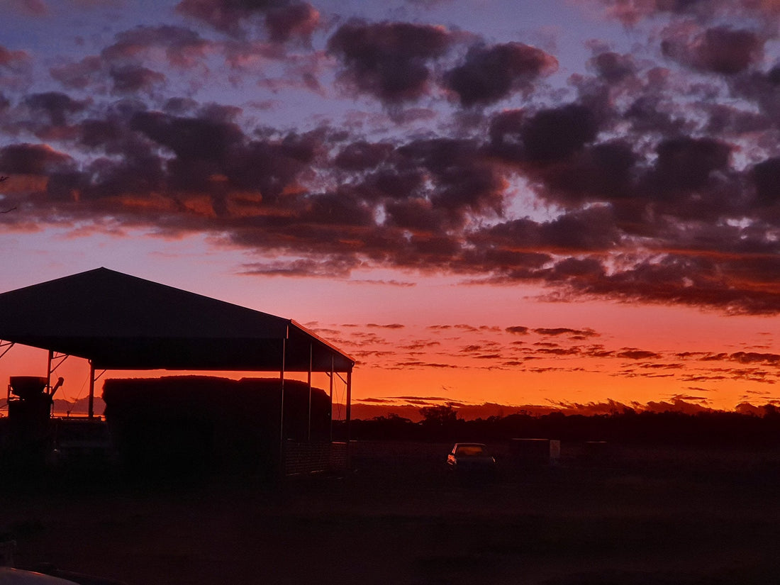 10 weather apps for farmers in australia and why they're good